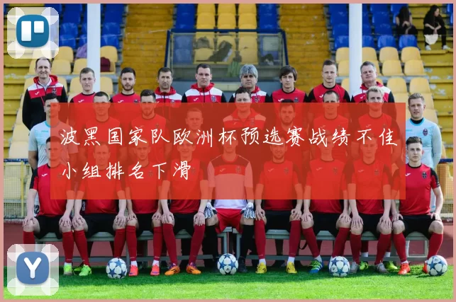 波黑国家队欧洲杯预选赛战绩不佳小组排名下滑