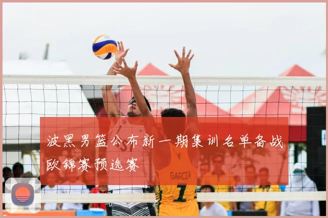 波黑男篮公布新一期集训名单备战欧锦赛预选赛