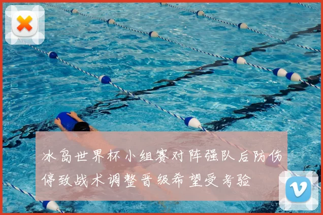 冰岛世界杯小组赛对阵强队后防伤停致战术调整晋级希望受考验