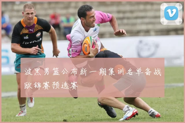 波黑男篮公布新一期集训名单备战欧锦赛预选赛