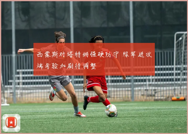 西蒙斯对塔特姆强硬防守 绿军进攻端考验加剧待调整