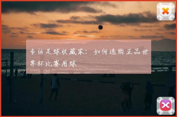 专访足球收藏家：如何选购正品世界杯比赛用球