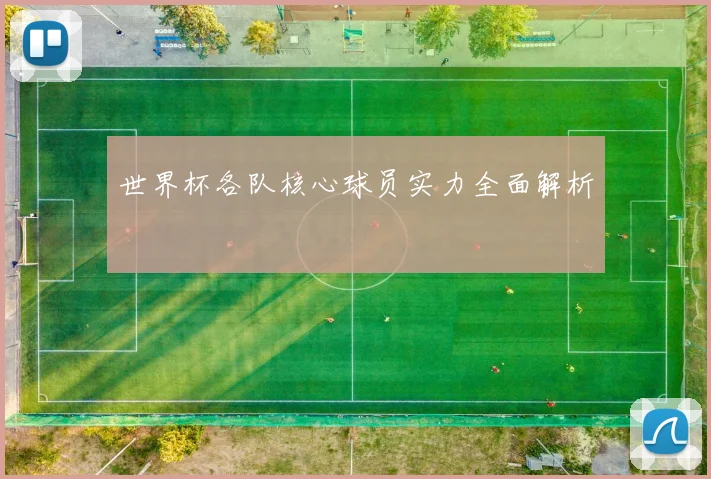世界杯各队核心球员实力全面解析