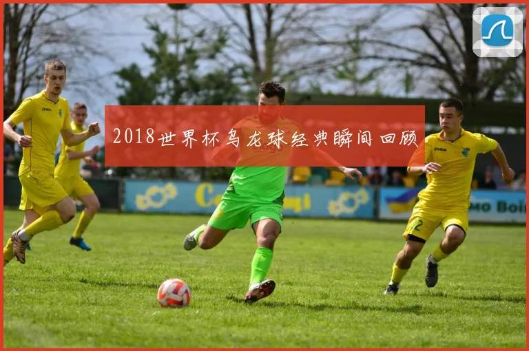2018世界杯乌龙球经典瞬间回顾