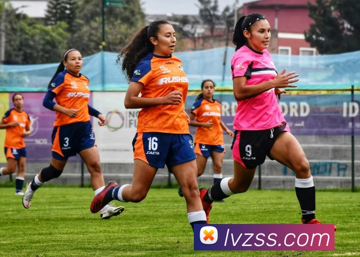 MK体育·(国际)官方网站 - mksport平台生态图